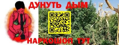 ГАЛЛЮЦИНОГЕННЫЕ ГРИБЫ Заволжье