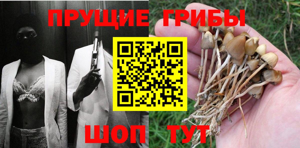 Псилоцибиновые грибы GOLDEN TEACHER Ликино-Дулёво