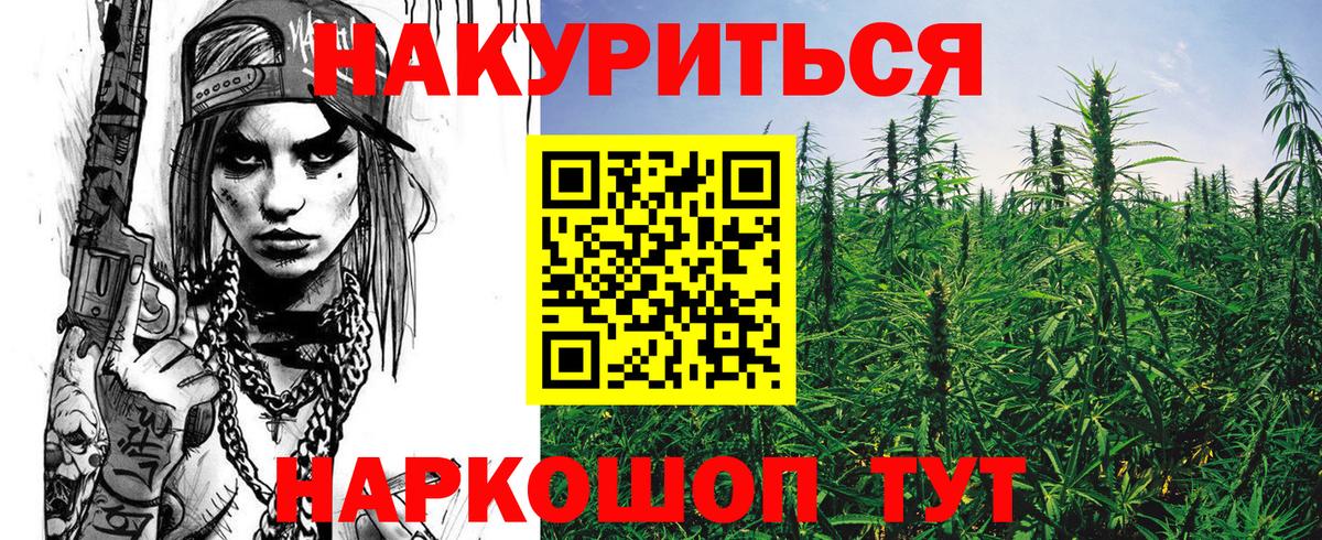Конопля сатива Ликино-Дулёво